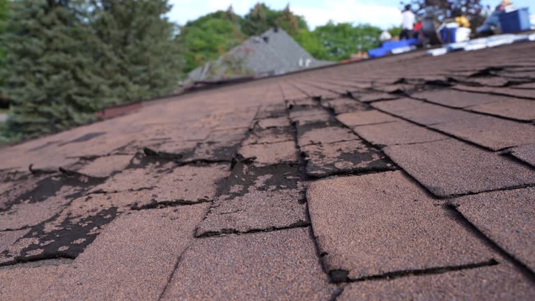 Best Roof Ventilation Installation  in Canyon Day, AZ