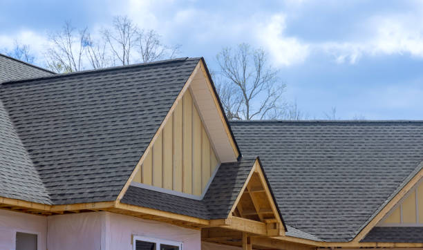Best Gutter Installation and Repair  in Canyon Day, AZ