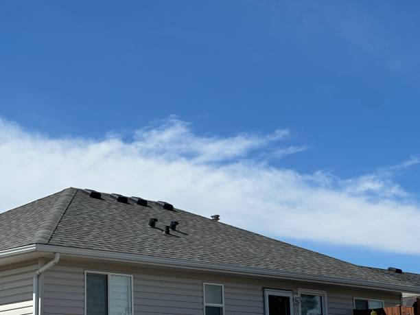 Professional Roofing Service in Canyon Day, AZ